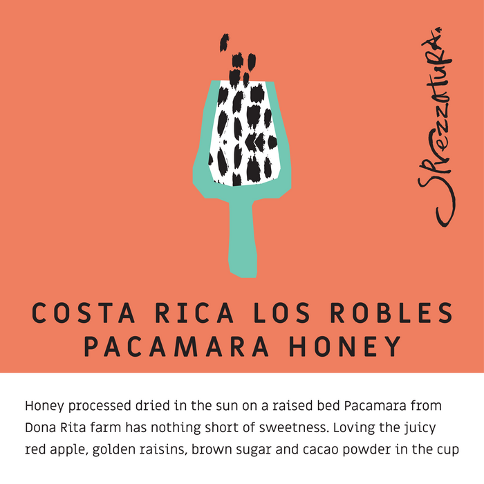 Costa Rica Los Robles Pacamara Honey